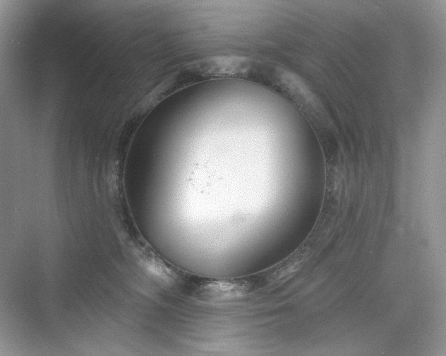 X0000076060326200609291232