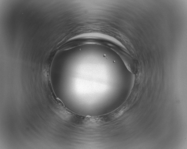 X0000076060329200609291232