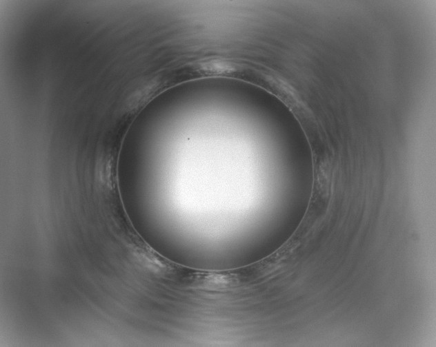 X0000076060330200609291232