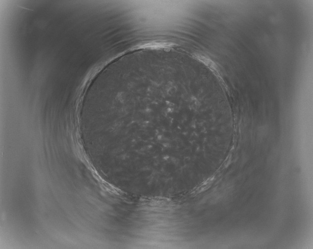 X0000076060337200609291231