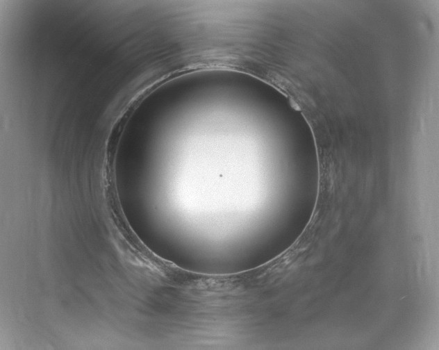 X0000076060338200609291231