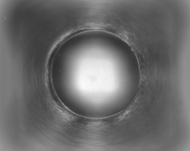 X0000076060342200609291231