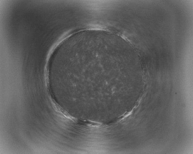 X0000076060343200609291231