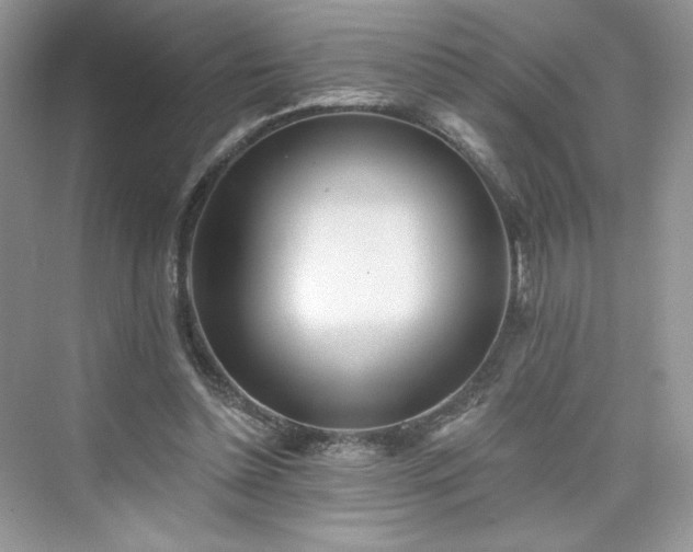 X0000076060348200609291231