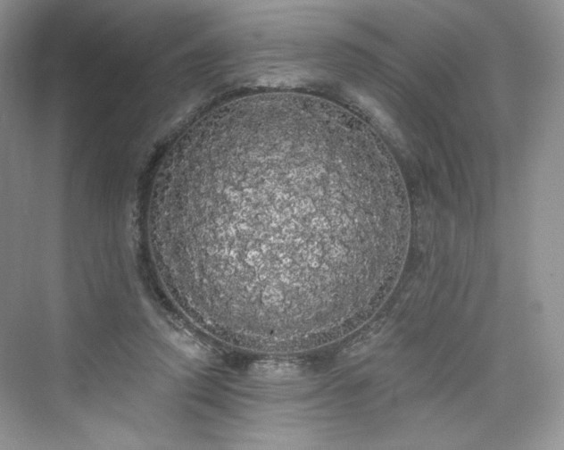 X0000076060354200609291231