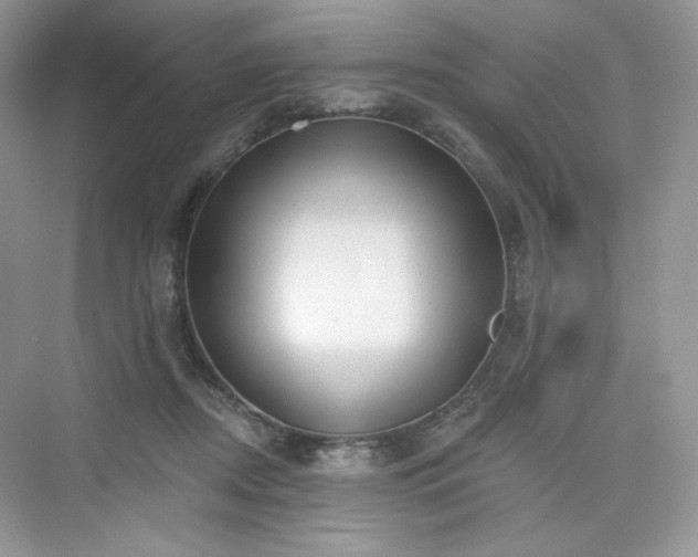 X0000076060362200609291231