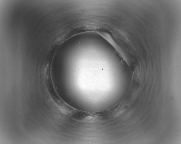 X0000076060364200609291231