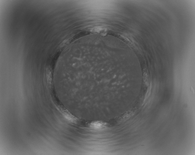 X0000076060375200609291231