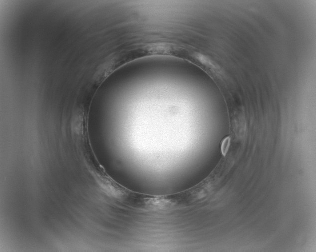 X0000076060379200609291231