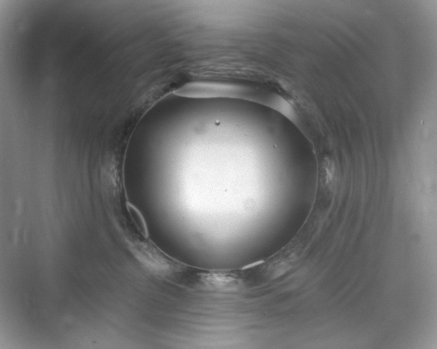 X0000076060380200609291231