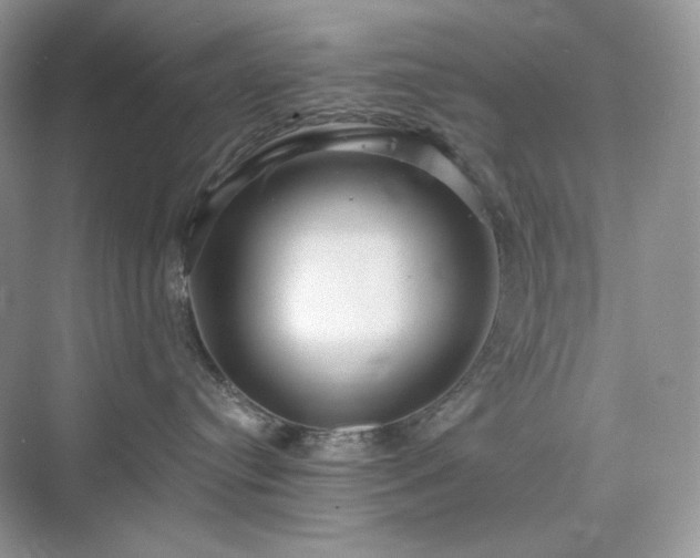 X0000076060384200609291231