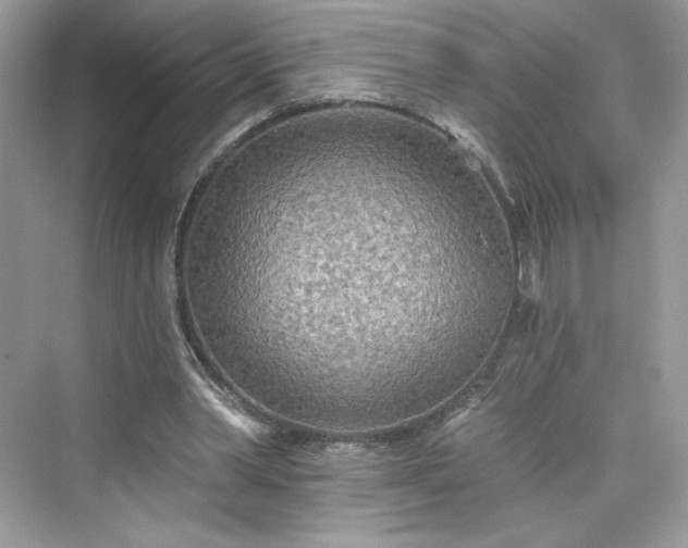 X0000076060390200609291231