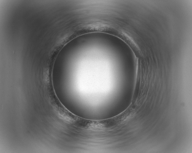 X0000076060403200609291230