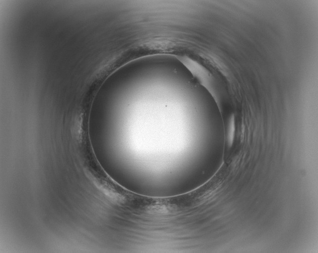 X0000076060404200609291230