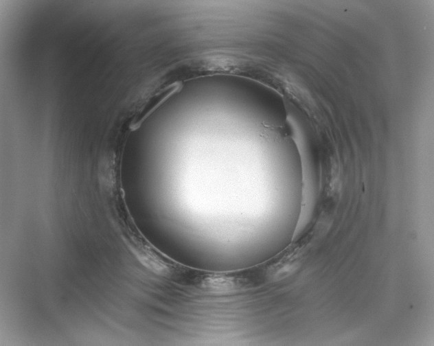 X0000076060413200609291230