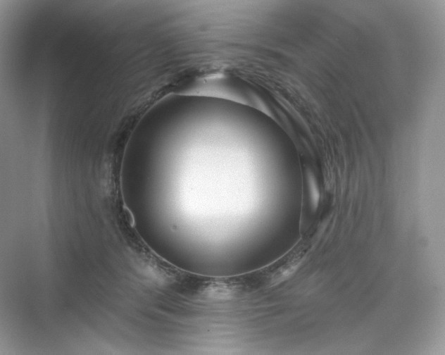 X0000076060416200609291230