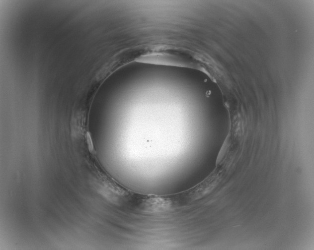X0000076060421200609291230