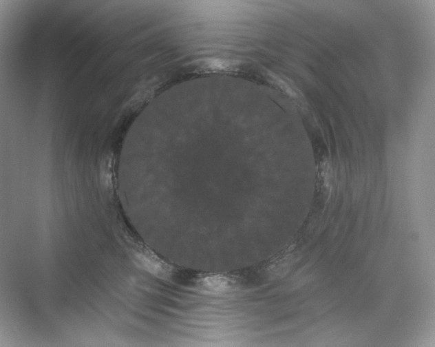 X0000076060423200609291230