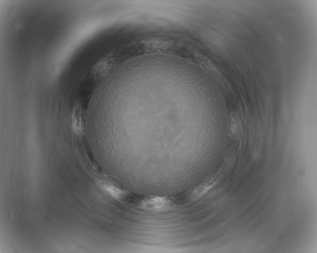 X0000076060431200609291230