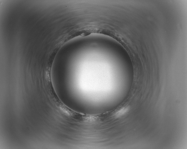 X0000076060432200609291230