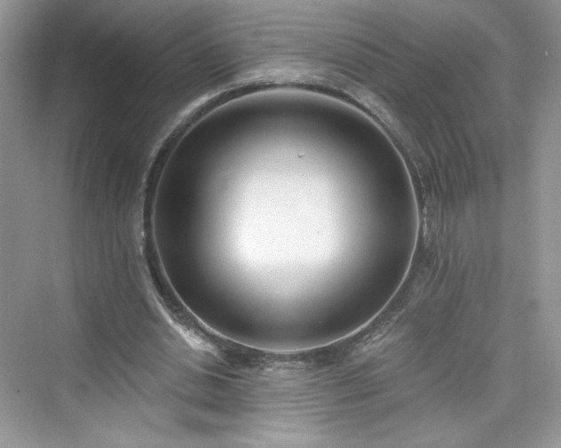 X0000076060438200609291229