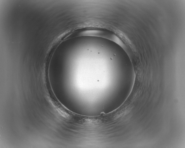 X0000076060442200609291229