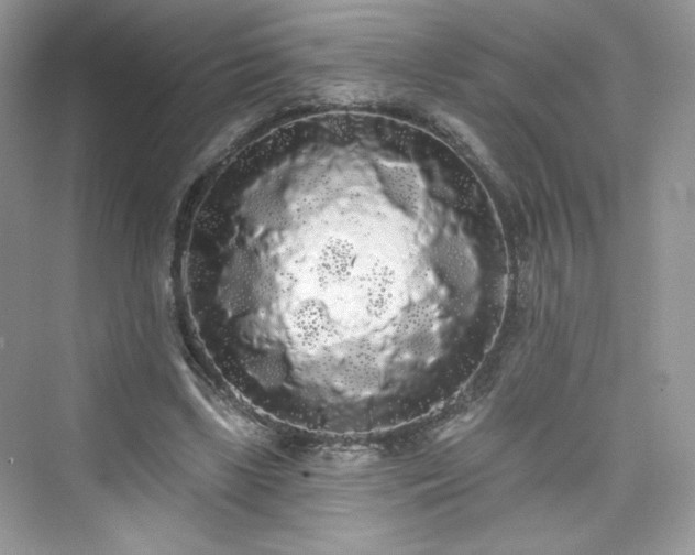 X0000076060443200609291229
