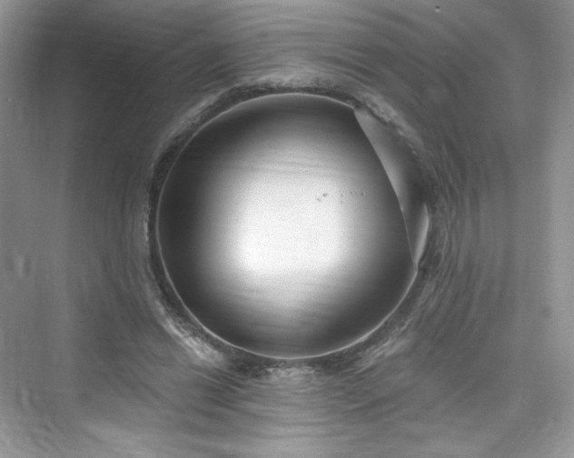 X0000076060446200609291229