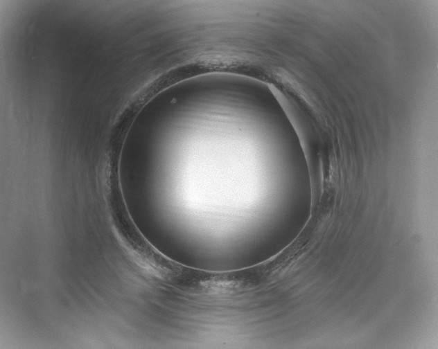 X0000076060448200609291229