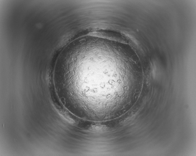X0000076060455200609291229