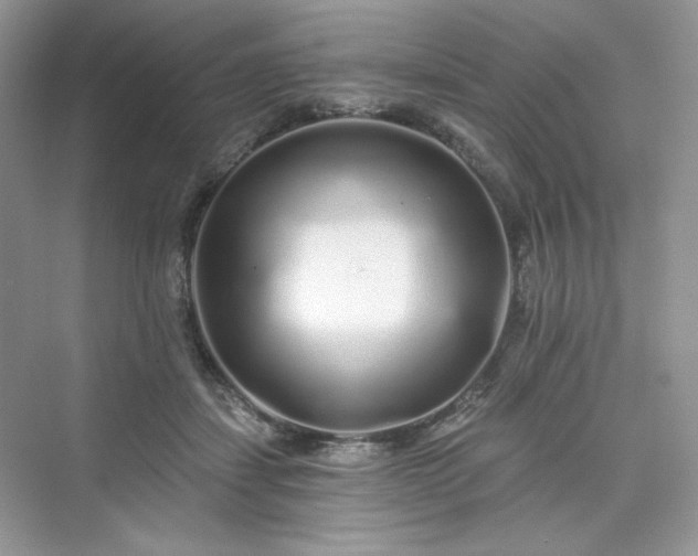 X0000076060459200609291229