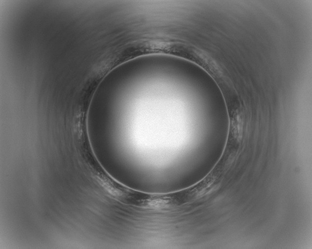 X0000076060462200609291230