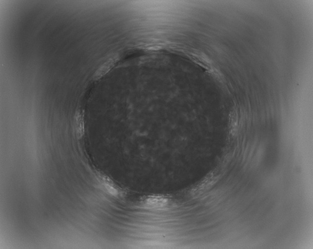 X0000076060471200609291230