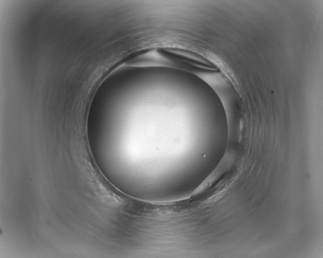 X0000076060481200609291229