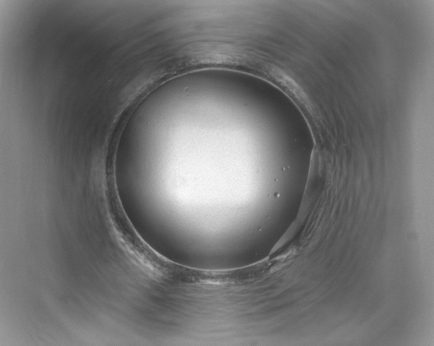 X0000076060482200609291229