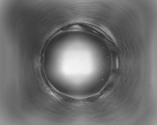 X0000076060485200609291229