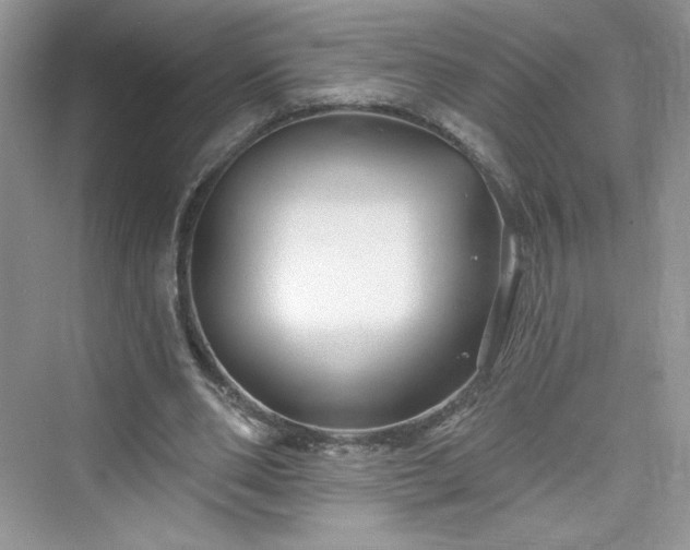 X0000076060486200609291229