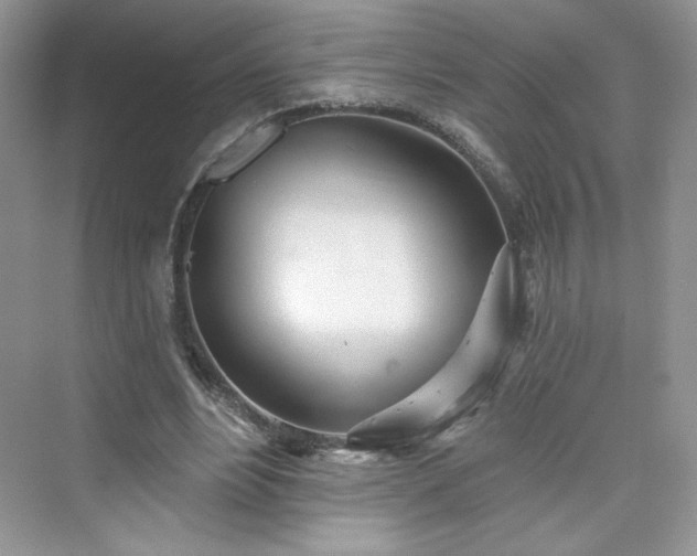 X0000076060488200609291229