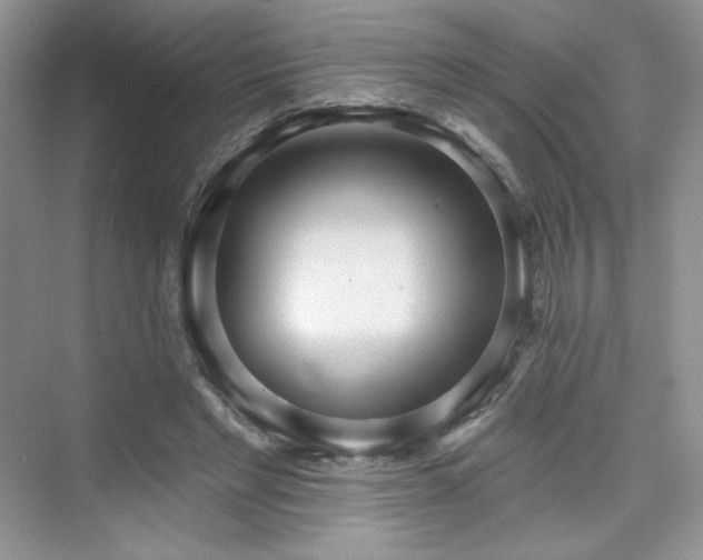 X0000076060493200609291229