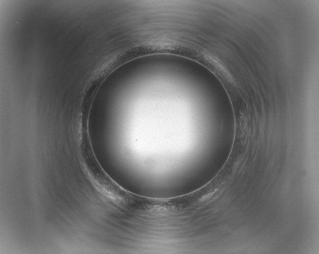 X0000076060494200609291229