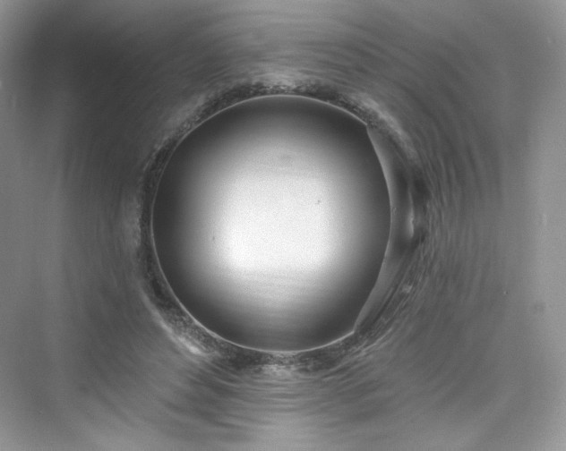 X0000076060496200609291229