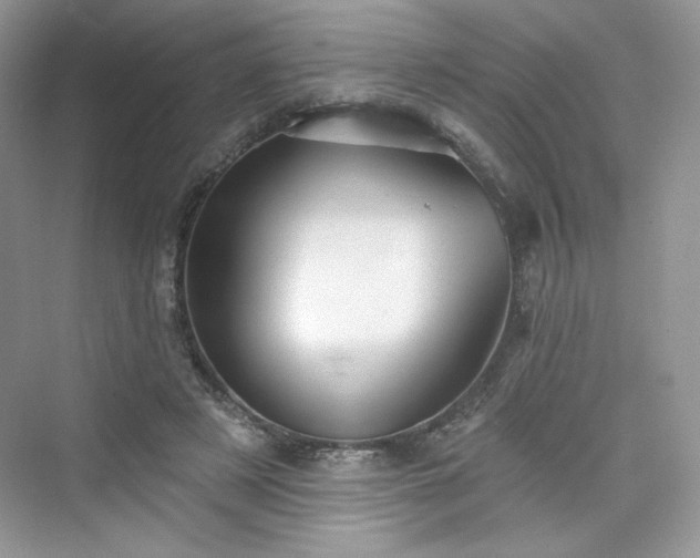 X0000076060497200609291229