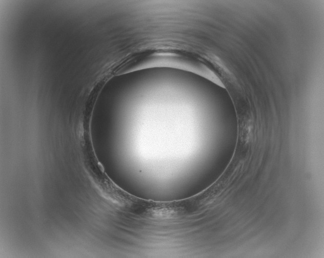 X0000076060500200609291229