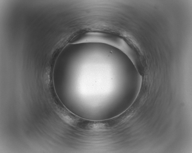 X0000076060501200609291229