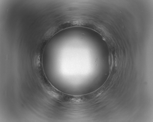 X0000076060502200609291229