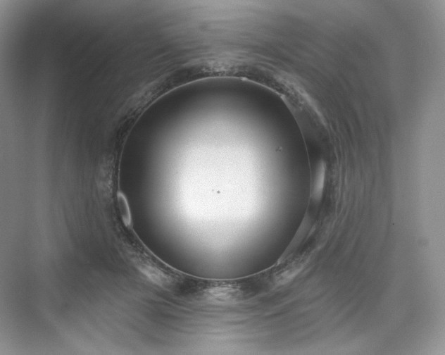 X0000076060505200609291229