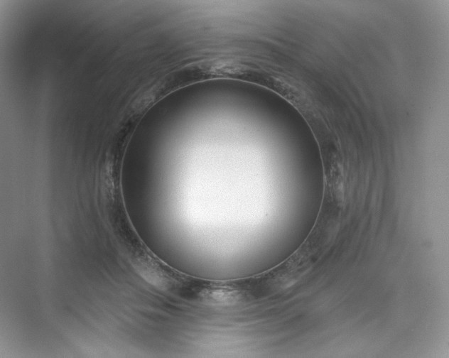 X0000076060506200609291229