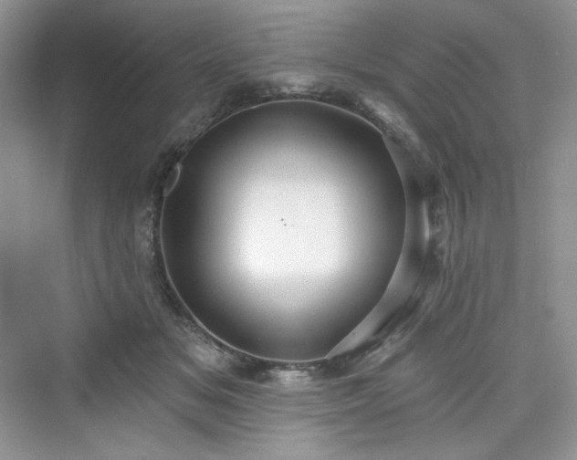 X0000076060509200609291229