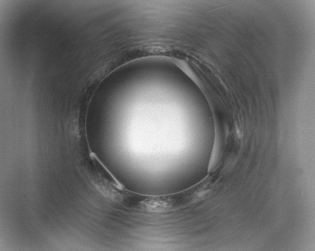 X0000076060512200609291229