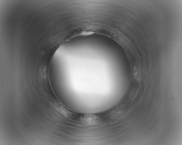 X0000076060514200609291228